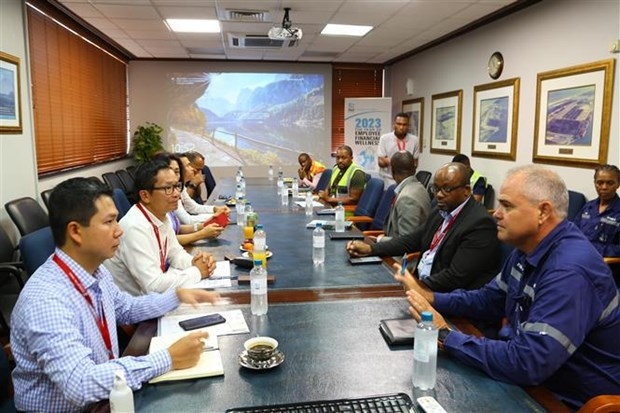 Vietnam, South Africa tap into potential to promote economic diplomacy